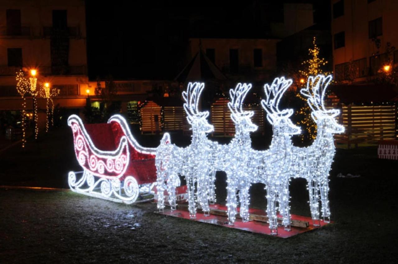 outdoor christmas decorations reindeer and sleigh 9' Commercial Size Reindeer and Sleigh Lighted Christmas Outdoor