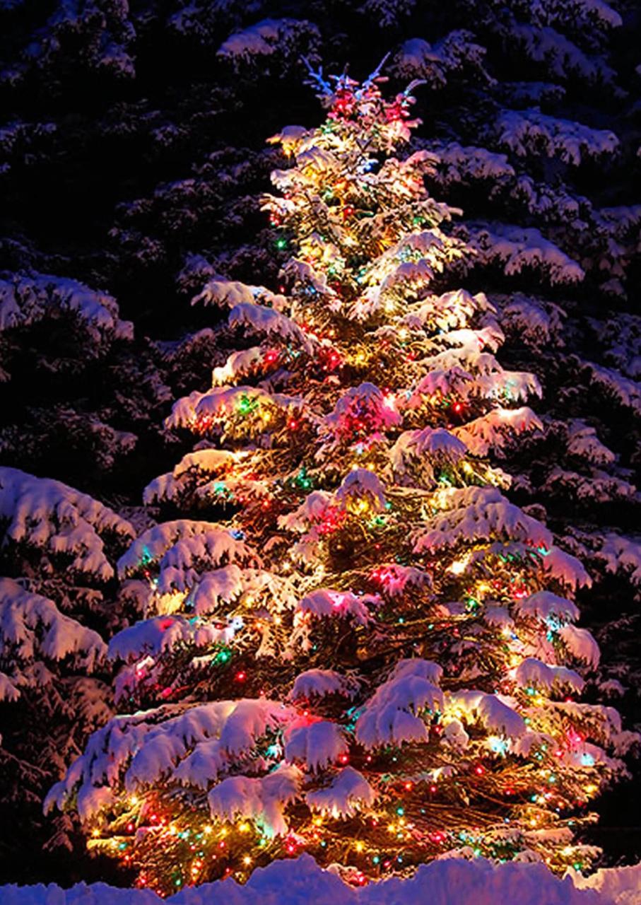 outdoor christmas decor trees 22 Best Outdoor Christmas Tree Decorations and Designs for 2021