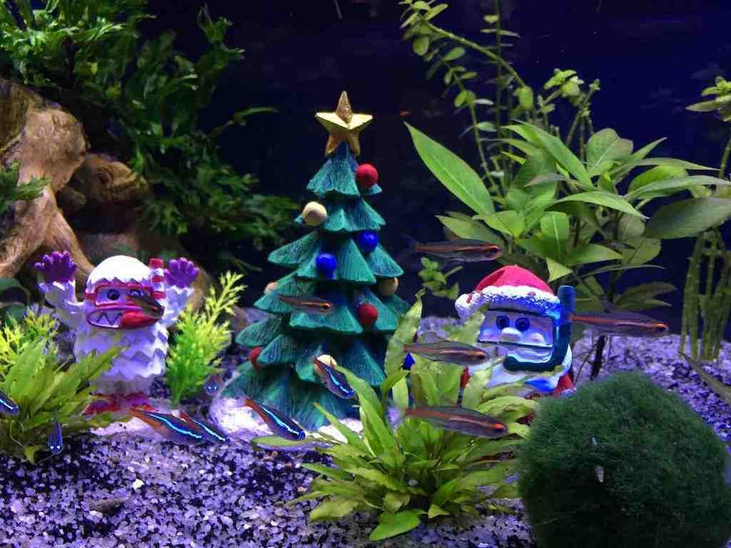 christmas decor fish tank Aquarium Christmas Decorations Fish tank, Christmas wallpaper, Christmas decorations