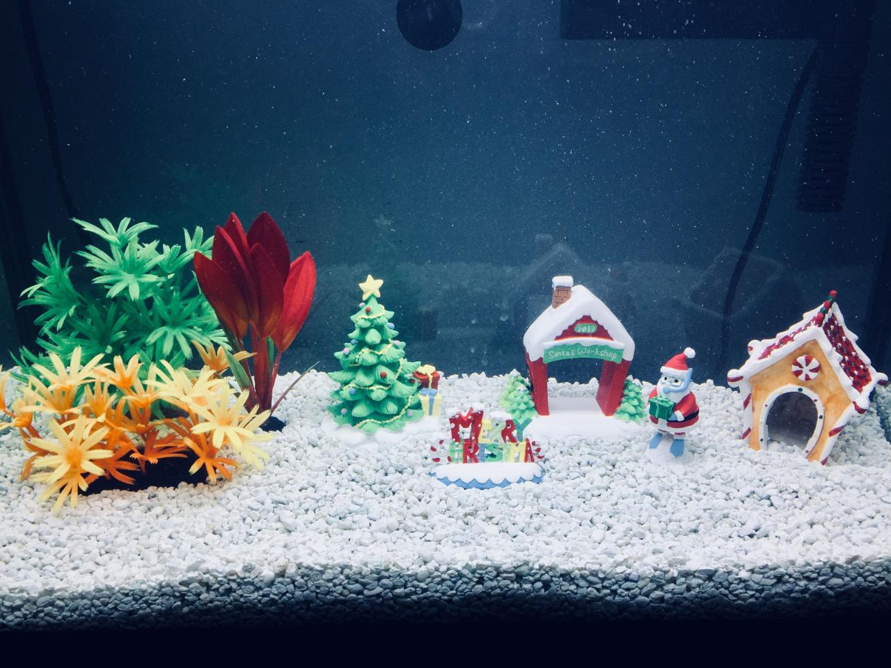 christmas fish tank decor Aquarium Christmas Đồ trang trí giáng sinh, Trang trí, Ý tưởng trang trí