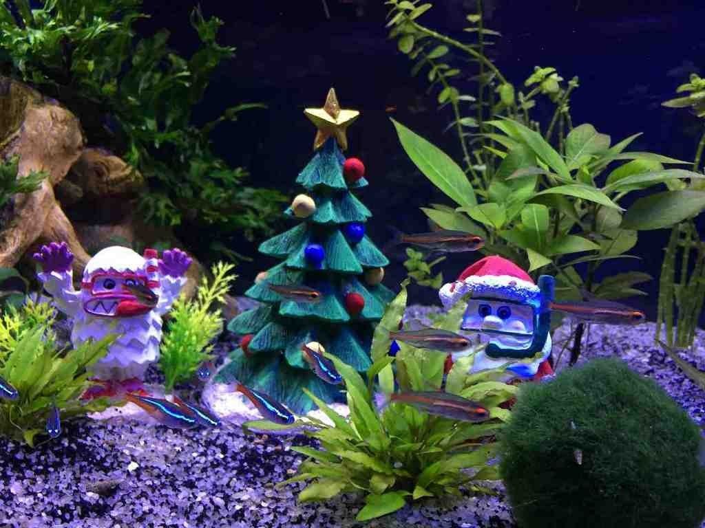 christmas fish tank decor Aquarium Christmas Decorations Holiday Crafts Diy, Christmas Tree Ornaments, Holiday Decor