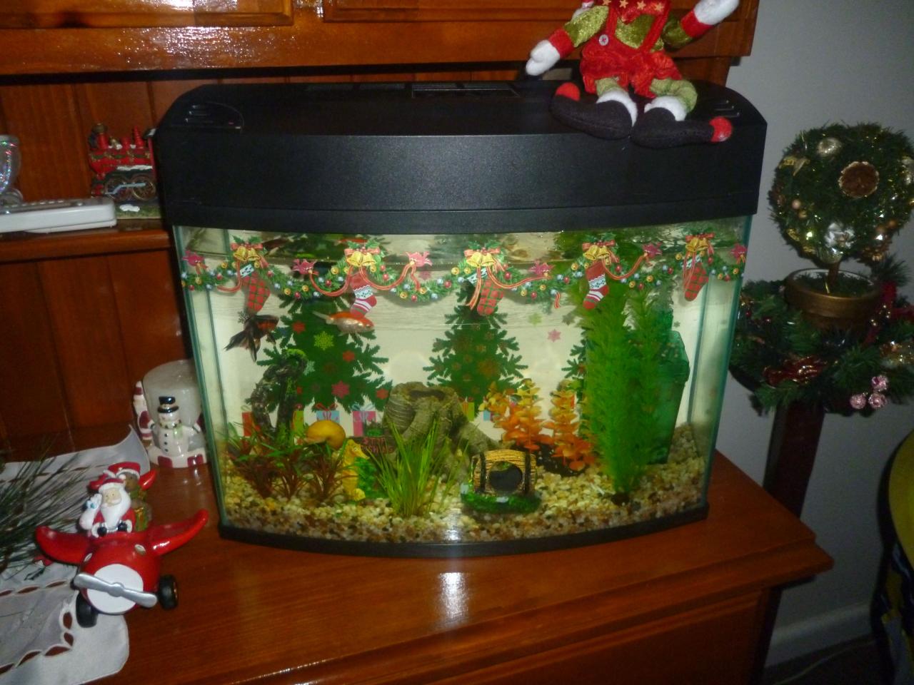 fish tank decor christmas Pin di Christmas Fish tank