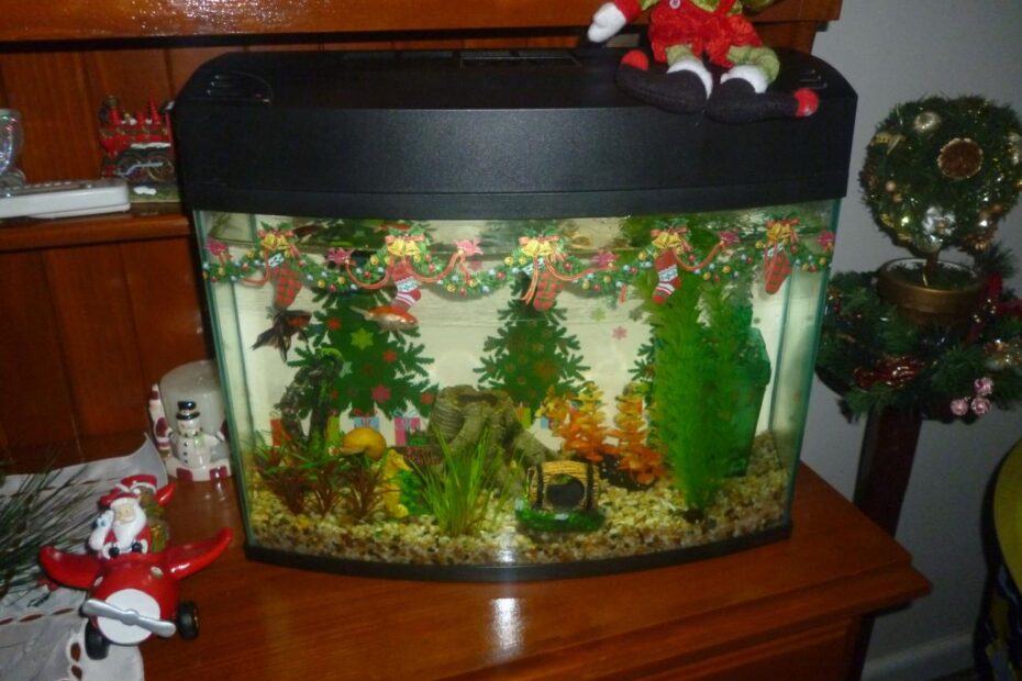 christmas fish tank decor Pin di Christmas Fish tank