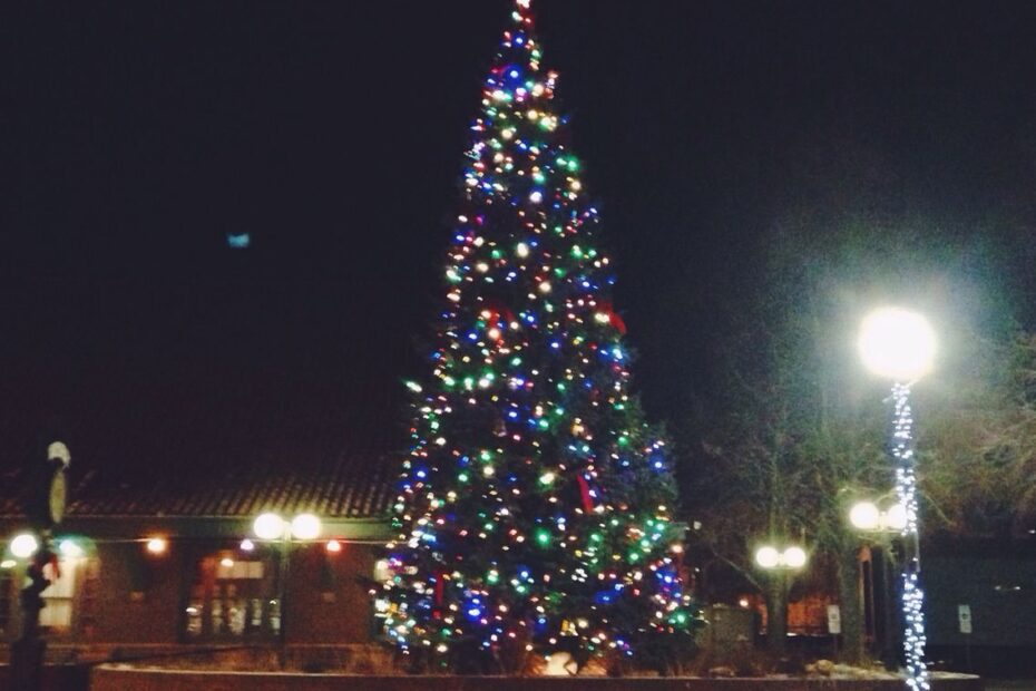 christmas decor fargo nd Downtown Fargo Four seasons, Holiday decor, Christmas tree