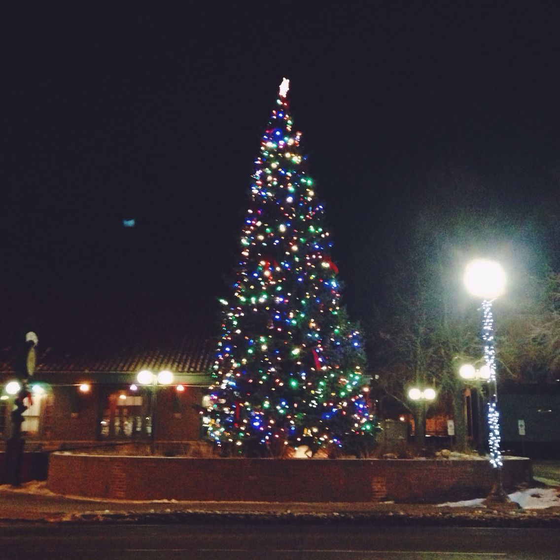 christmas decor fargo nd Downtown Fargo Four seasons, Holiday decor, Christmas tree