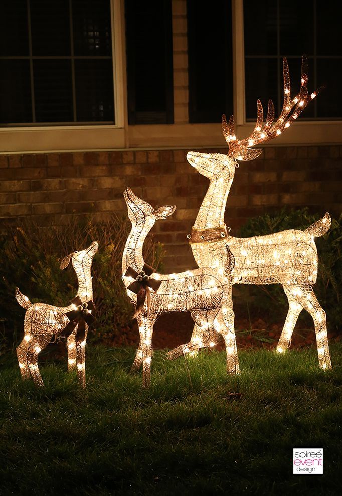 big lots outdoor christmas decor Decorate Your Home With Outdoor Holiday Decor from Big Lots! Outdoor christmas lights, Outdoor