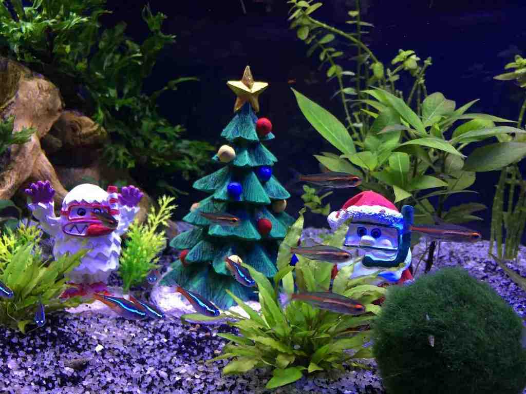 fish tank decor christmas Aquarium Christmas Decorations Decor IdeasDecor Ideas