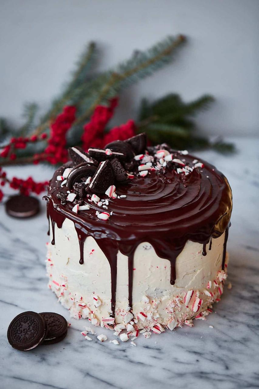 christmas decoration cake ideas 18 AWESOME Christmas cake decorating ideas Mums Make Lists