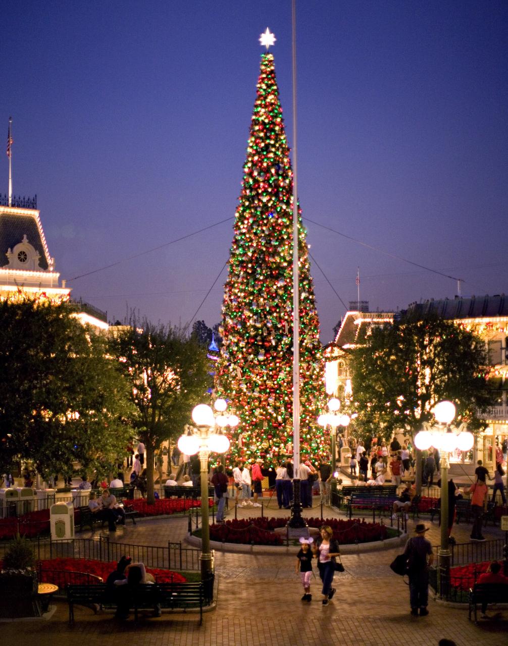 christmas decor at disneyland Disneyland Holiday Decorations Dad Logic