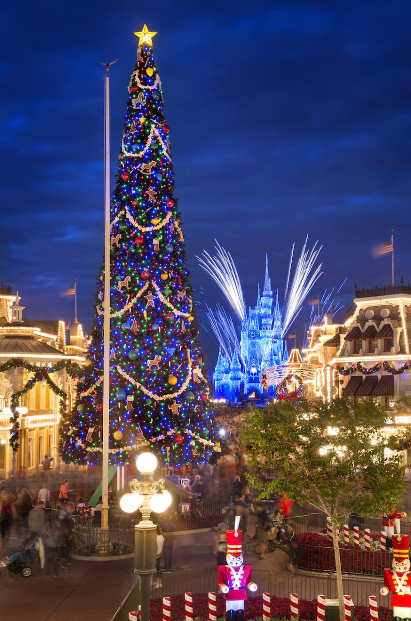 when does christmas decor go up at disneyland When Do Christmas Decorations Go Up At Disneyland 2019 Shelly Lighting