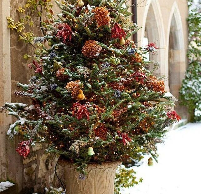 outdoor christmas decor trees 25 Amazing Outdoor Christmas Tree Decorations Ideas MagMent