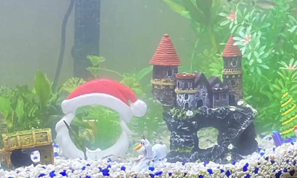 christmas decor fish tank 10 Christmas Aquarium Decorations Ideas to Make Your Fish Tank Merry & Bright