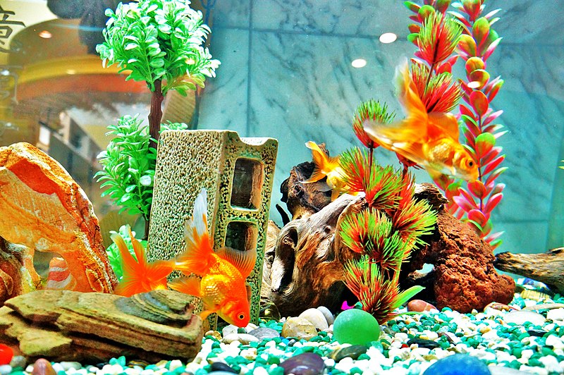 christmas fish tank decor 13 Unique & Creative Christmas Fish Tank Decoration Ideas