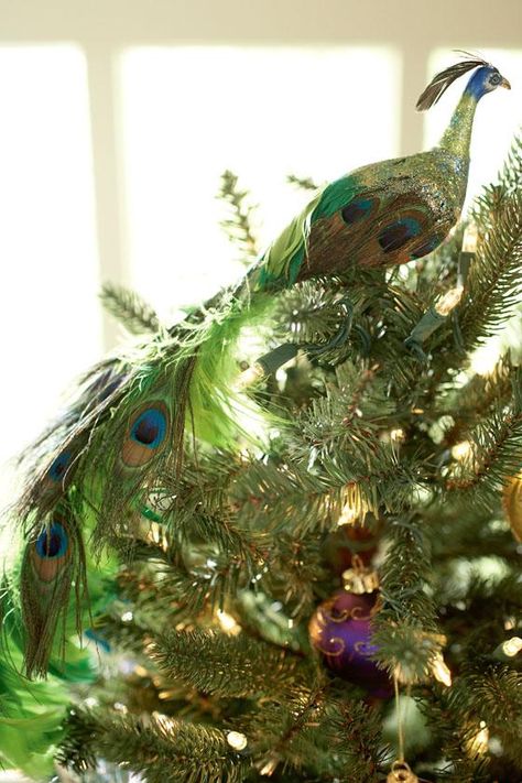 peacock christmas tree decor 900+ Christmas Peacock Trees ideas christmas, peacock christmas, peacock christmas tree