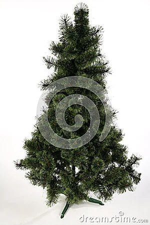 christmas decor no tree Christmas Tree No Decoration Stock Image Image 3715761