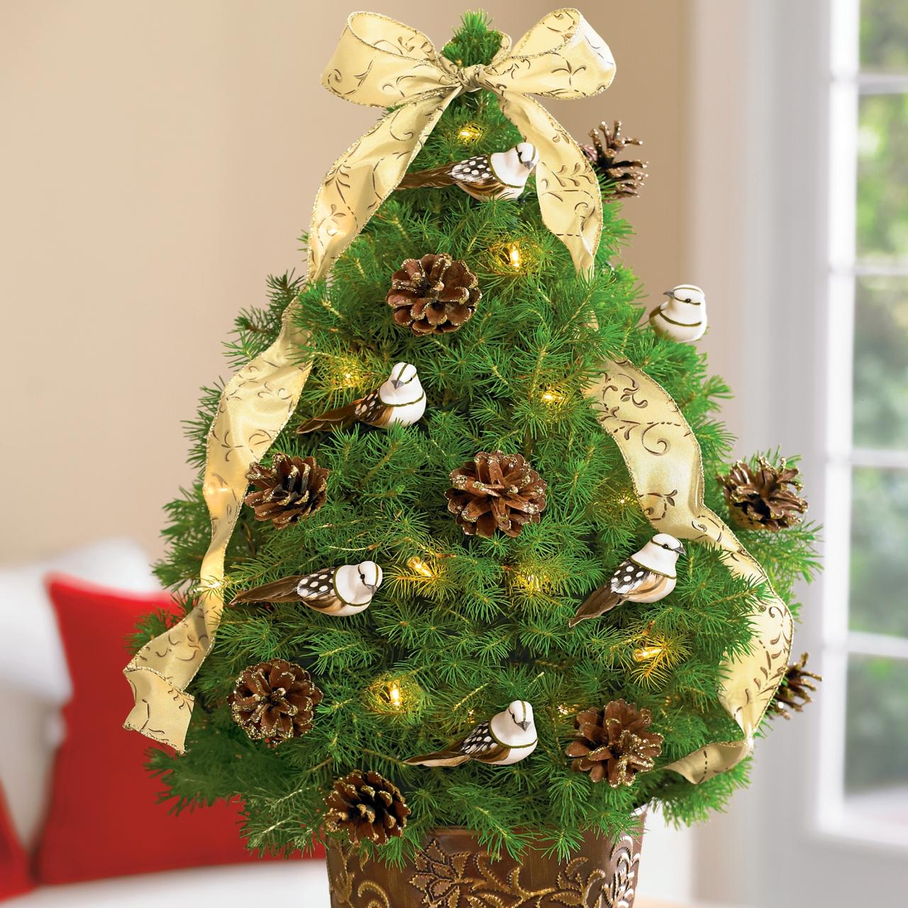 christmas decor mini trees 10 Nice Small Christmas Tree Decorating Ideas 2024