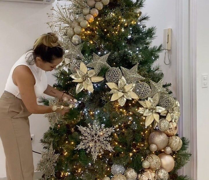 christmas tree decorating ideas 2024 christmas tree ideas 2024 Elegant christmas tree decorations, Pretty