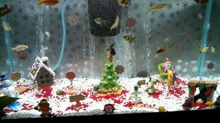 fish tank decor christmas Cute Christmas fish tank Fishing christmas, Christmas decorations, Fish tank decorations