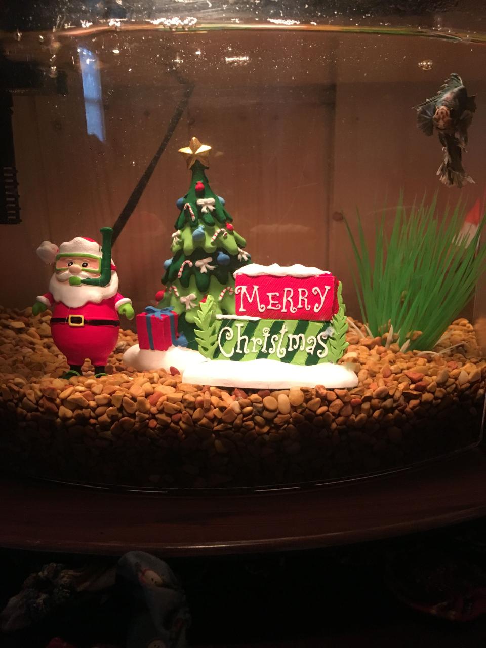 christmas fish tank decor I found Christmas decorations for Greyson's fish tank at Petsmart Holiday Themes, Christmas