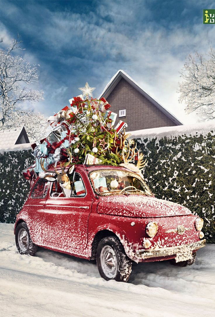 christmas decor for car Five Car Decorations That Will Make You Ready For Christmas