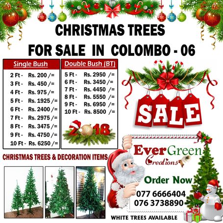 christmas decorations sale in sri lanka Christmas Trees For Sale In Sri Lanka For Sale Sri Lanka