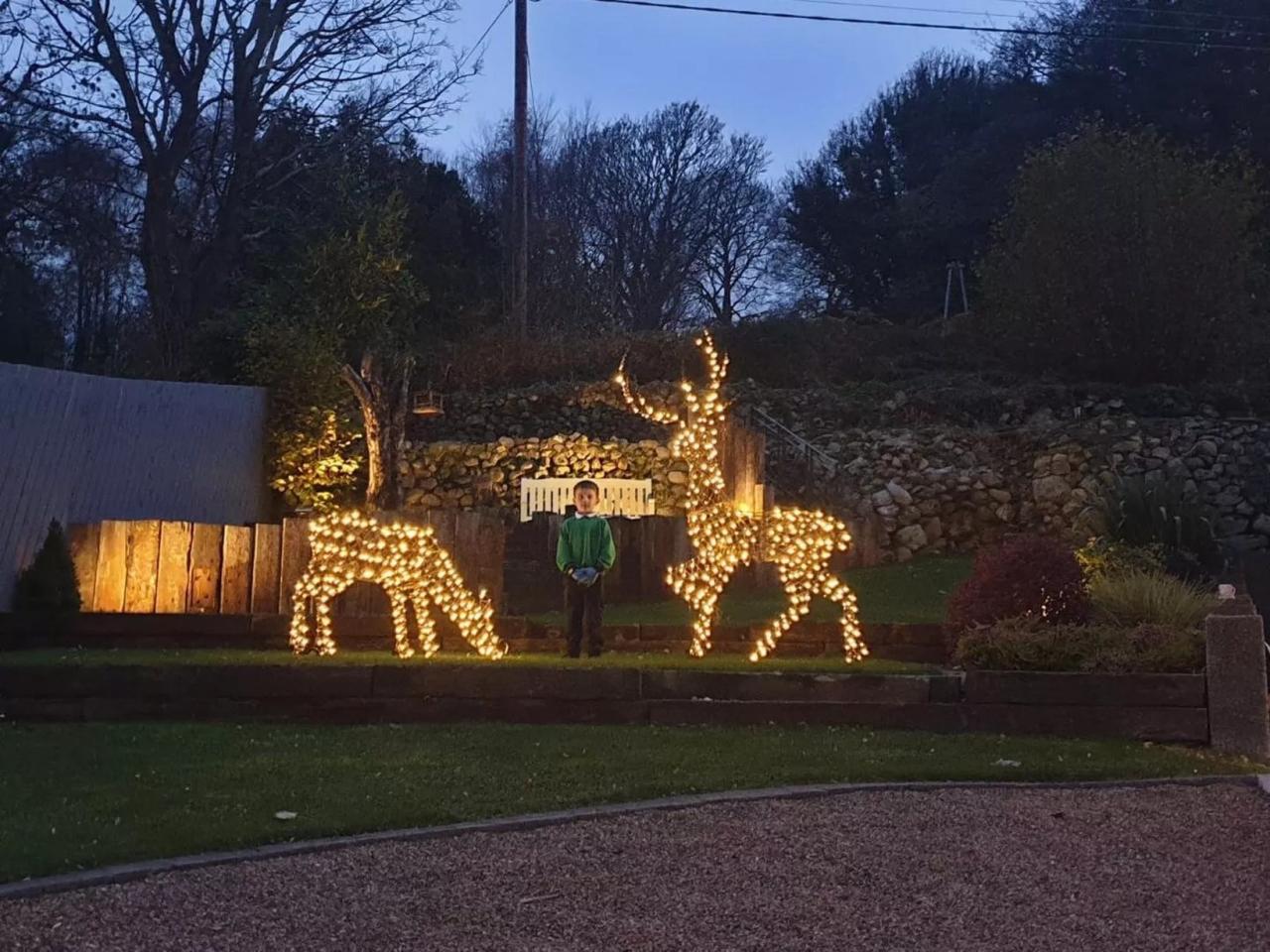 outdoor christmas decorations northern ireland Best Christmas decorations as homes across Northern Ireland light up