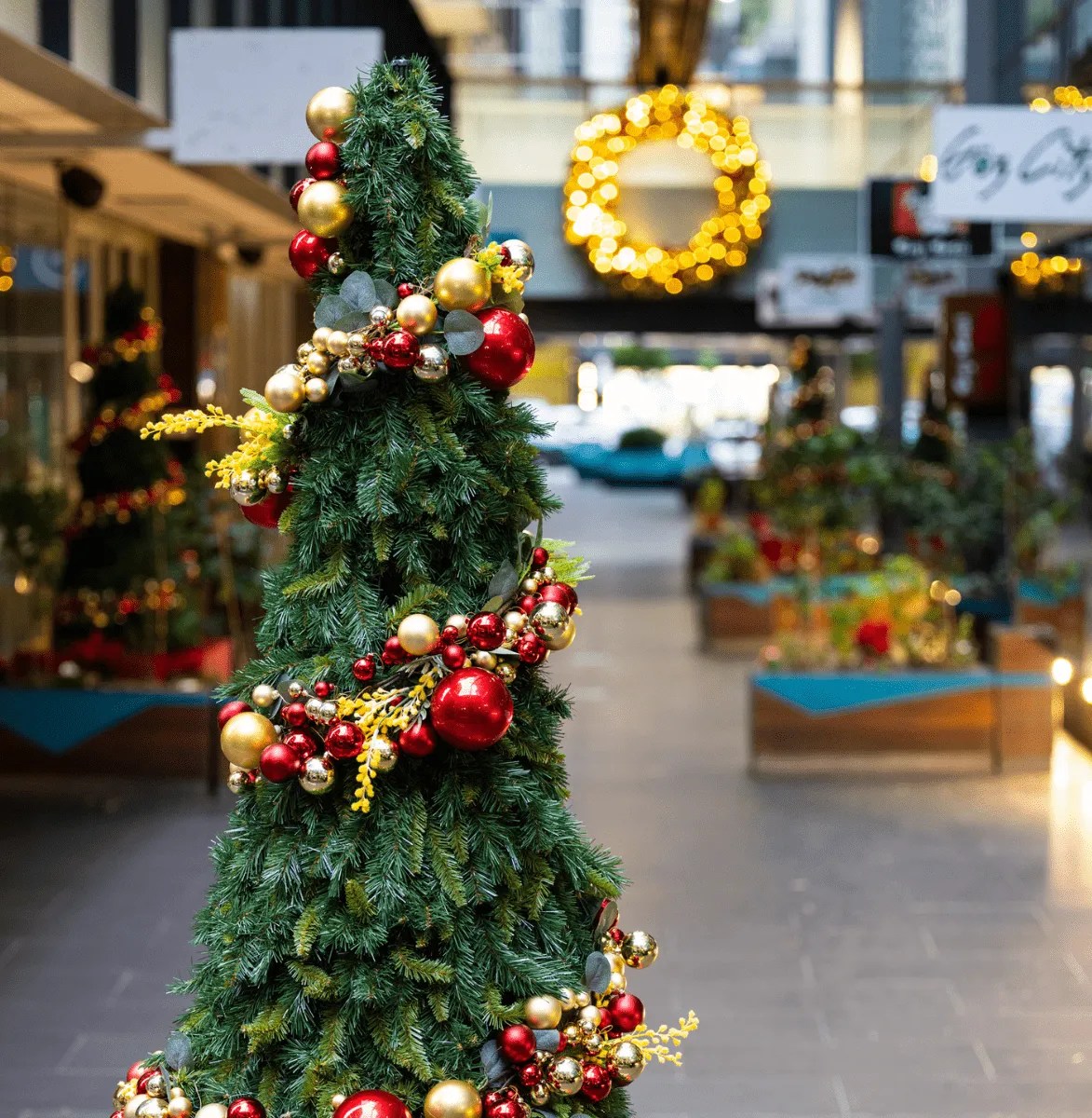 christmas outdoor decorations melbourne Beautiful Christmas decorations Australian style Melbourne