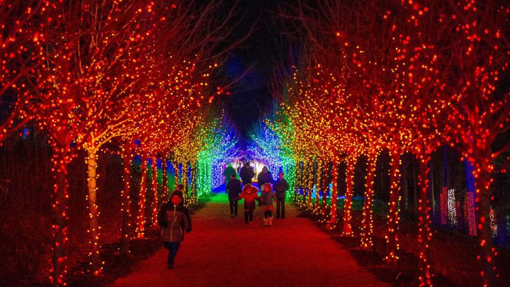 christmas decorations attractions near me Where to see Christmas lights near me in the USA