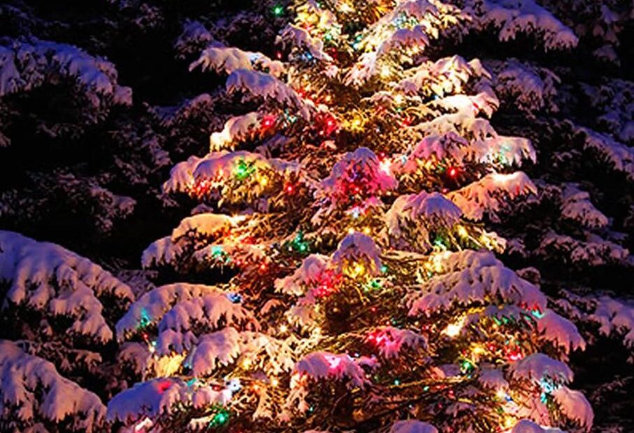 natural christmas tree decor 22 Best Outdoor Christmas Tree Decorations and Designs for 2021