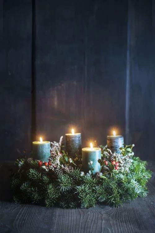 christmas plant decoration ideas 20 Spectacular Christmas Décor Ideas with Plants Balcony Garden Web