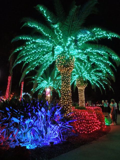 palm tree christmas decor Sweet Escapes December 2013 Palm tree christmas lights, Christmas