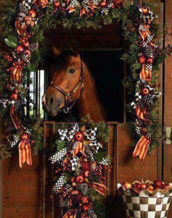 christmas decor for horses Nice decorations Christmas horses, Horses, Christmas animals