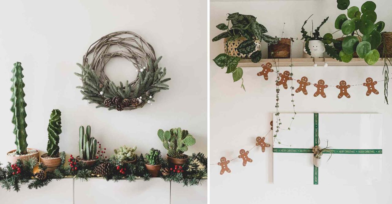 christmas plant decoration ideas 5 Christmas decoration ideas with natural plants Complete Gardering