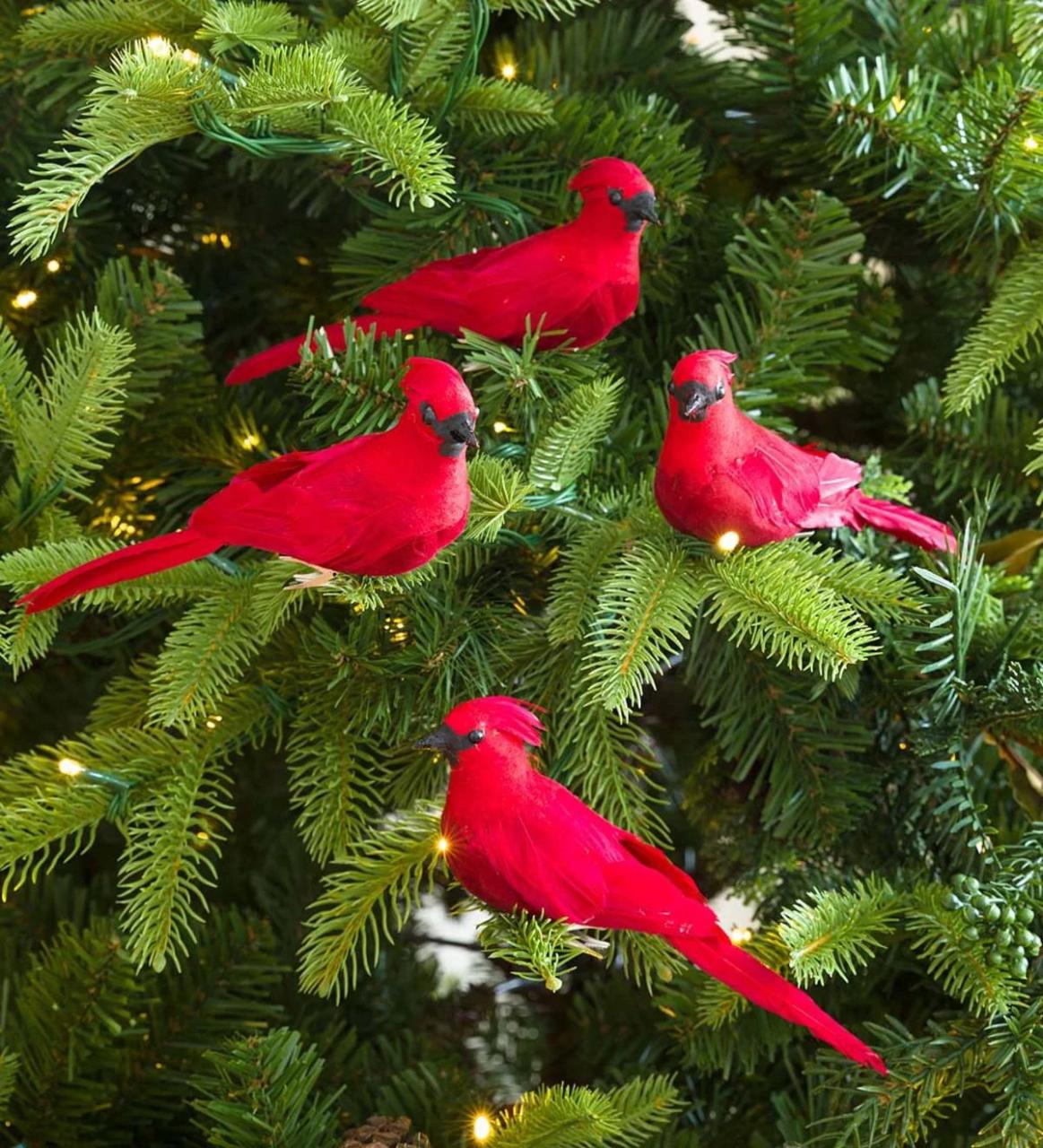 cardinal christmas decor outdoor ClipOn Cardinal Christmas Tree Ornaments, Set of 4