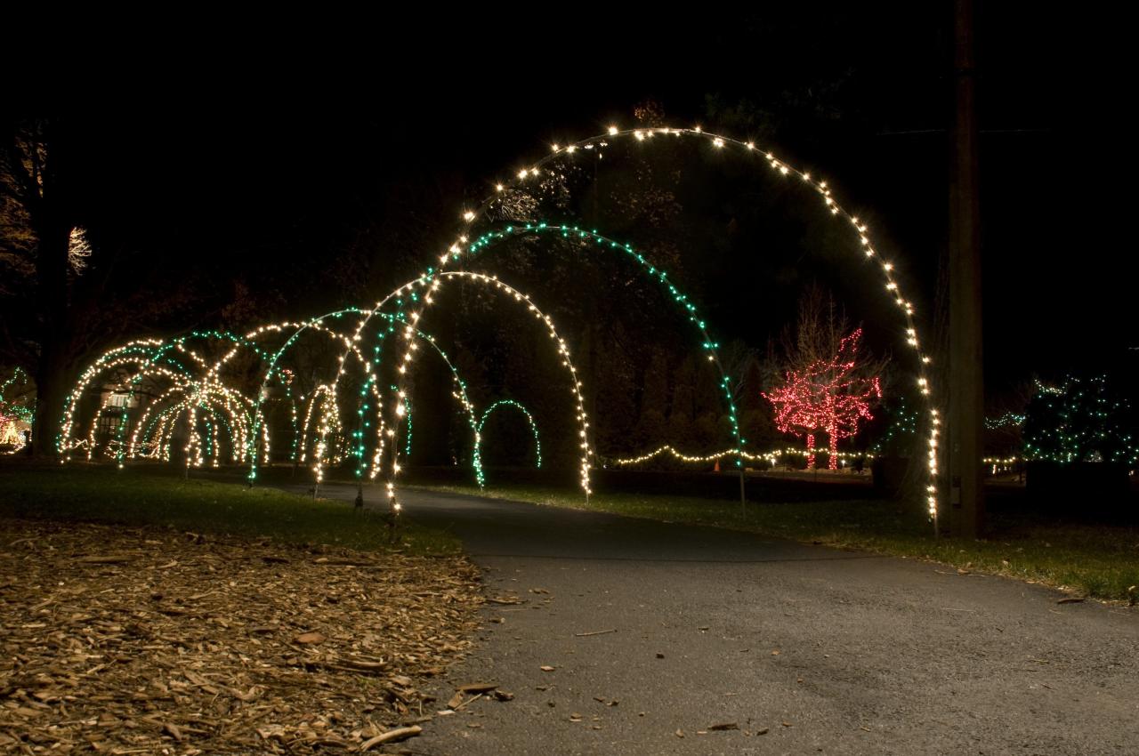 christmas decorations outdoor arch DIY Christmas Light Arches. Make your outdoor space a holiday show