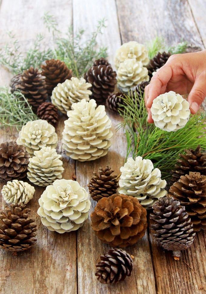 christmas decor from nature Easiest 5 Minute "Bleached Pinecones" without Bleach! A Piece Of