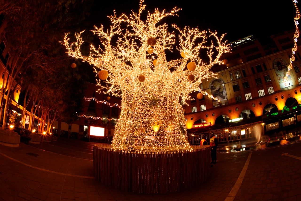 christmas decorations ideas south africa such a cool Christmas tree something South African Christmas in south