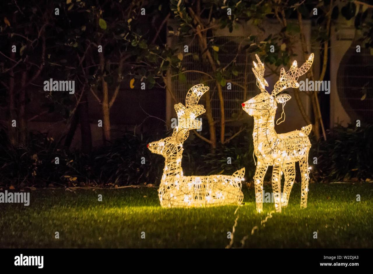 christmas decorations outdoor nz Beautiful outdoor Christmas lights every year decorating houses in