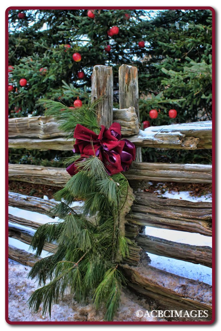 christmas fence decor ideas Evergreen Swags decorating the fence along the lane that leads to your