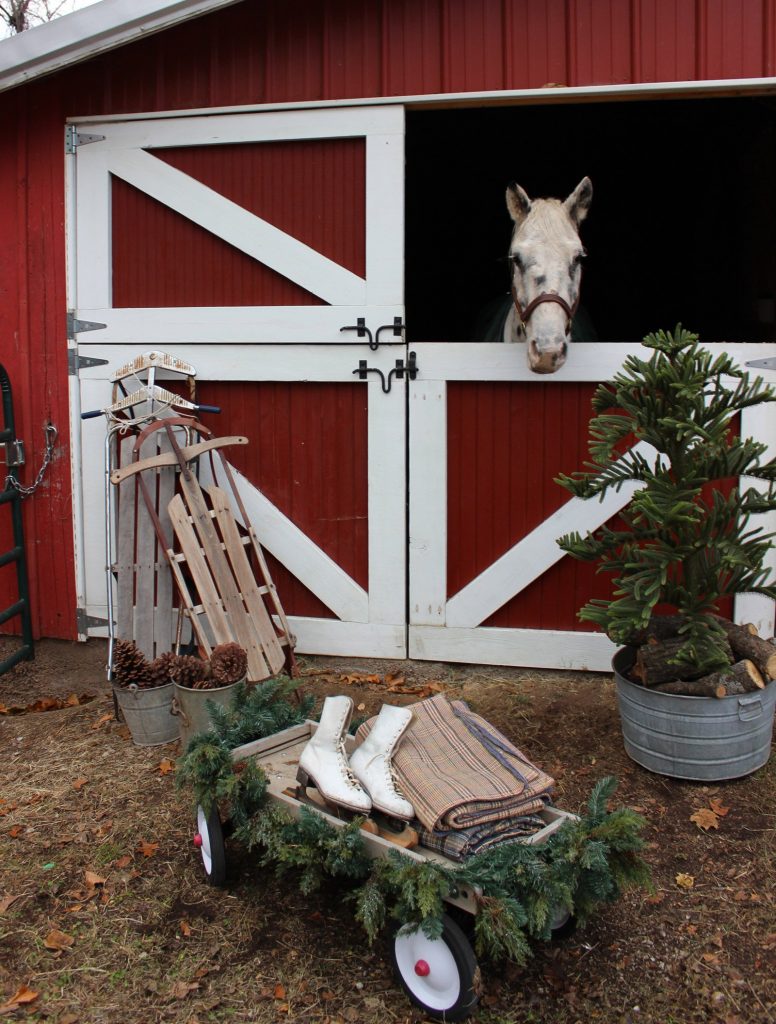 christmas decor for horses 14 Ideas for Stylish Horse Christmas Decorations Hawk Hill