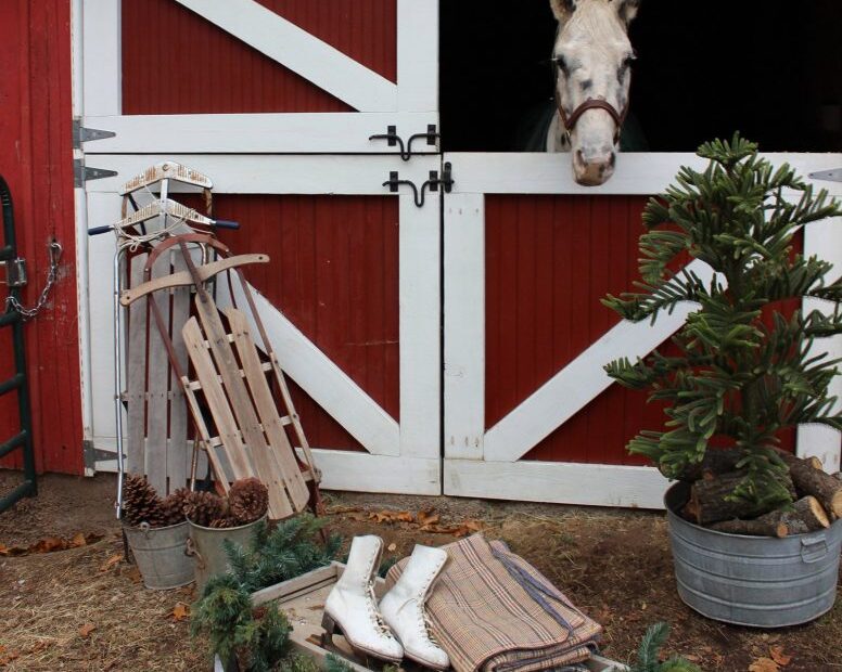 christmas outdoor decorations horse 14 Ideas for Stylish Horse Christmas Decorations Hawk Hill