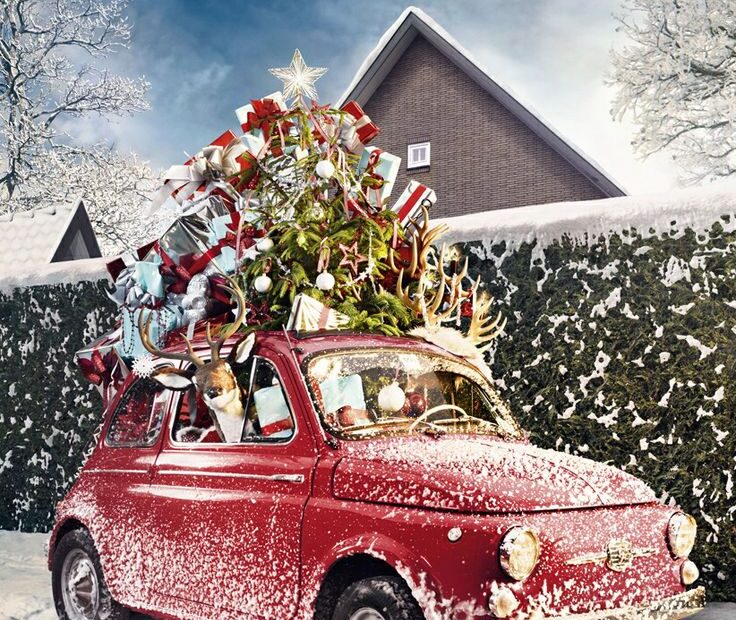 christmas decor for vehicles Five Car Decorations That Will Make You Ready For Christmas