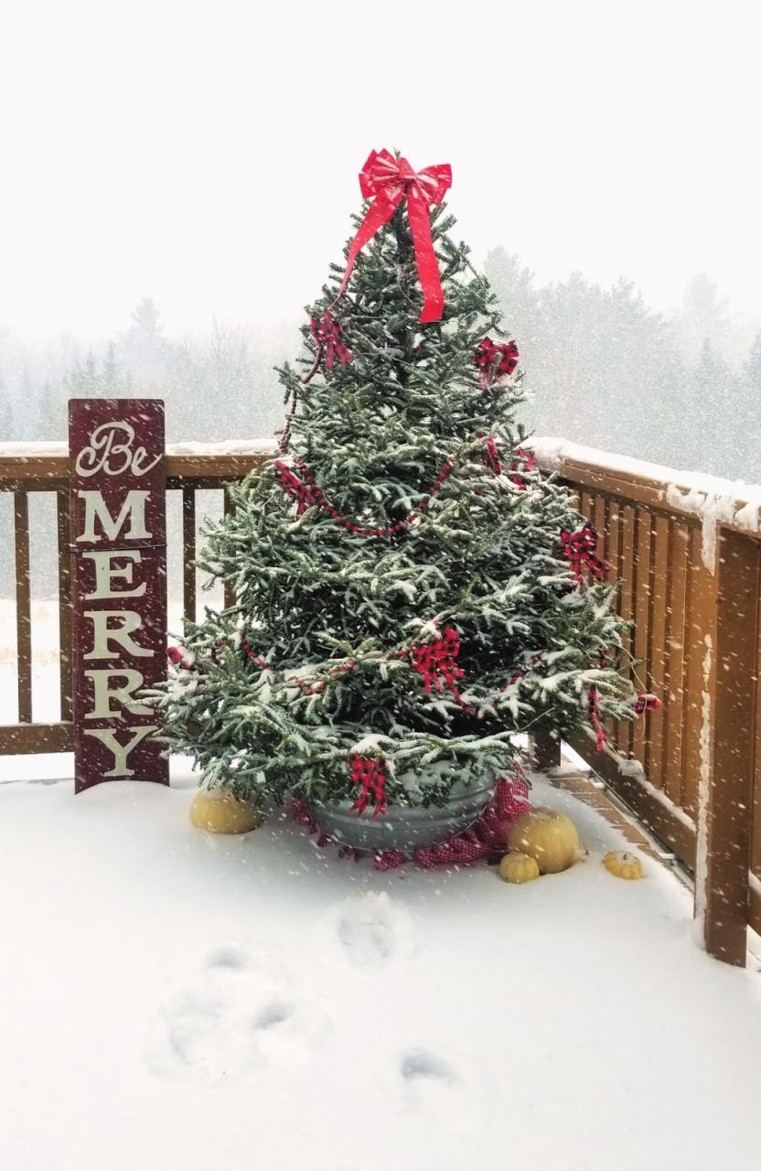 outdoor tree christmas decorations ideas How to Decorate an Outdoor Christmas Tree Fresh Eggs Daily® with Lisa