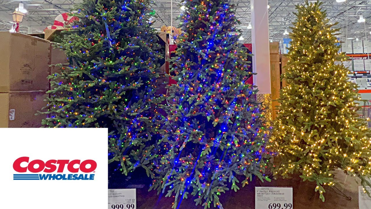 costco christmas decorations 2024 release date Costco Shopping 🛒 Christmas Decorations 🎄Christmas trees, Shop with me