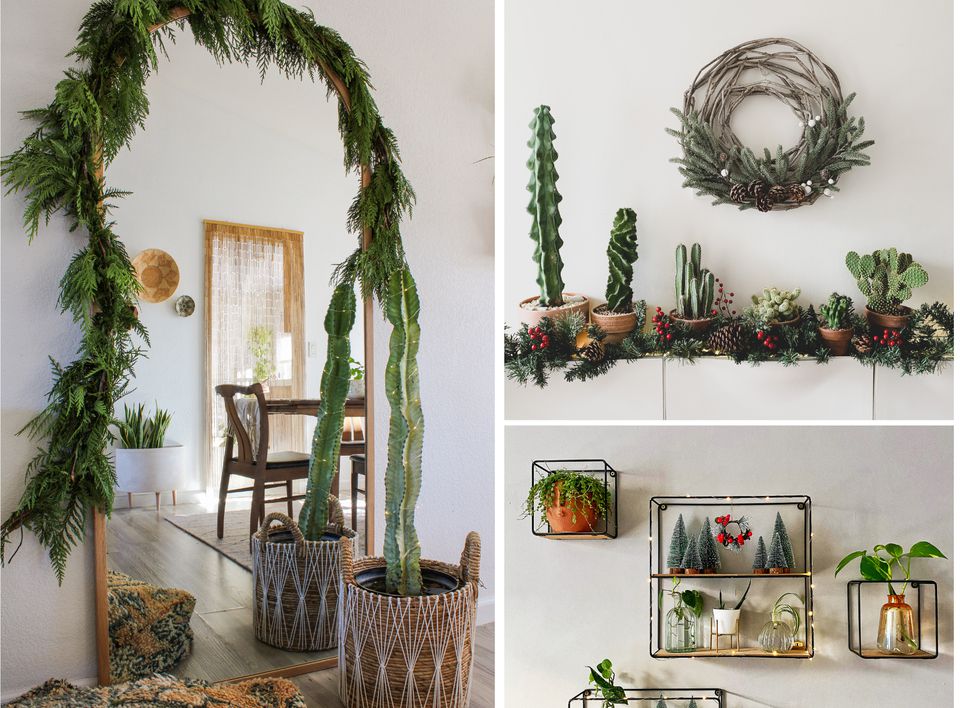 christmas plant decoration ideas 5 Easy Ways to Make Your Plants Pop When Decorating for Christmas