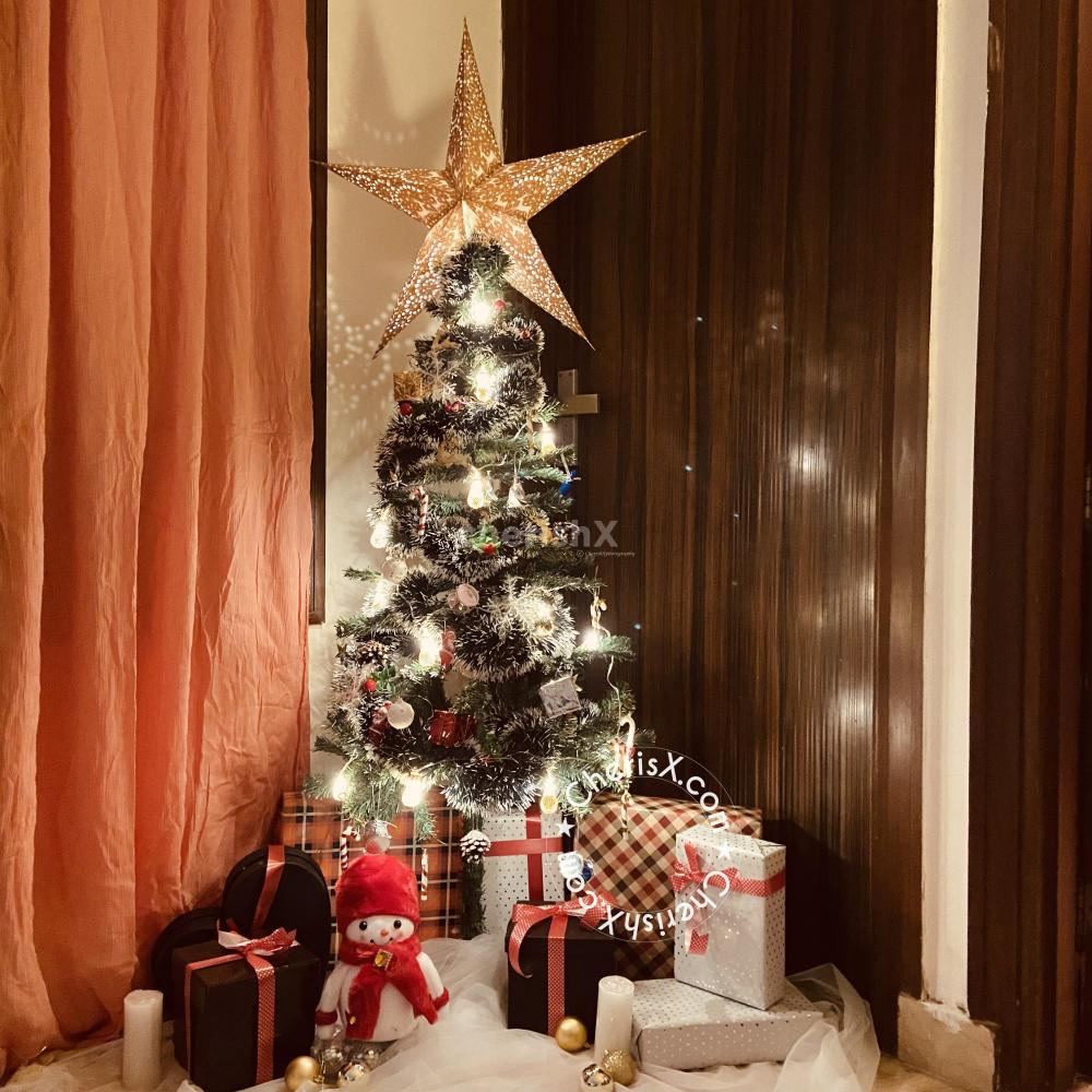 christmas tree decor packages Christmas Tree DIY Decorations for Home and Office in Delhi NCR