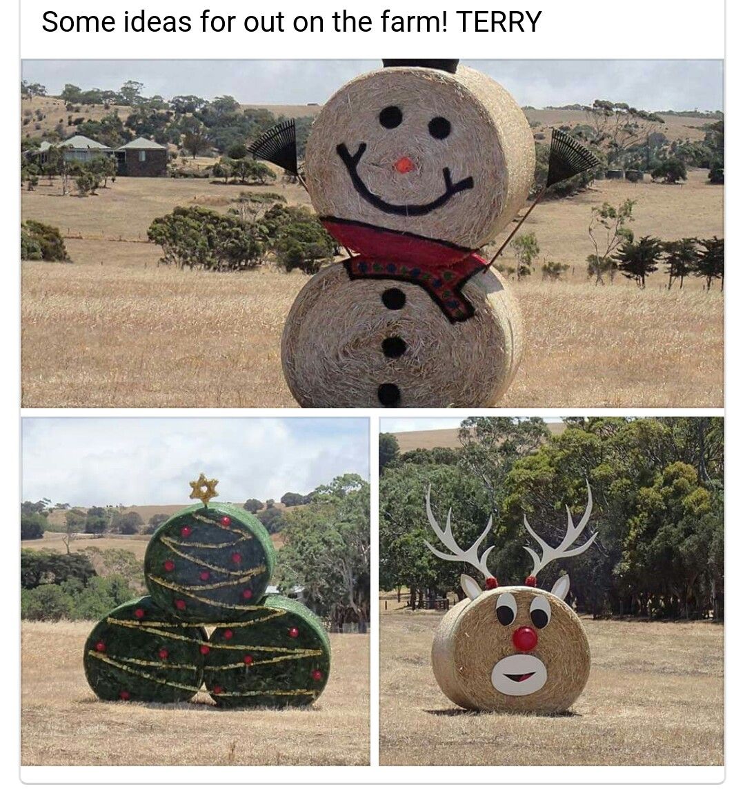 hay bale christmas decor Haybales Christmas hay bale ideas, Hay bale christmas, Hay bale