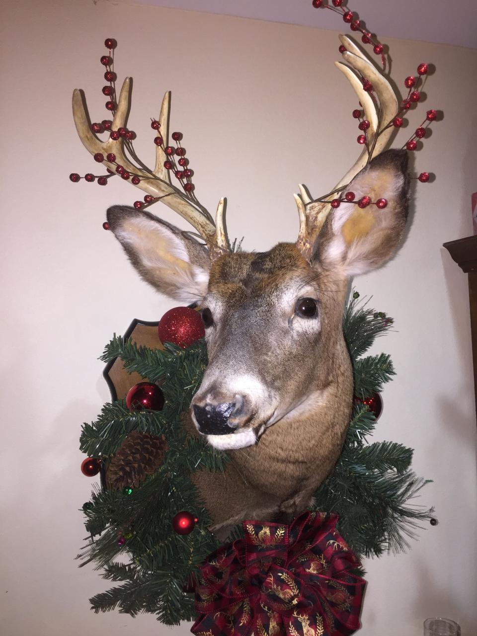 deer mount christmas decor Christmas decorated deer mount Je Suis Prest Outlander Antler