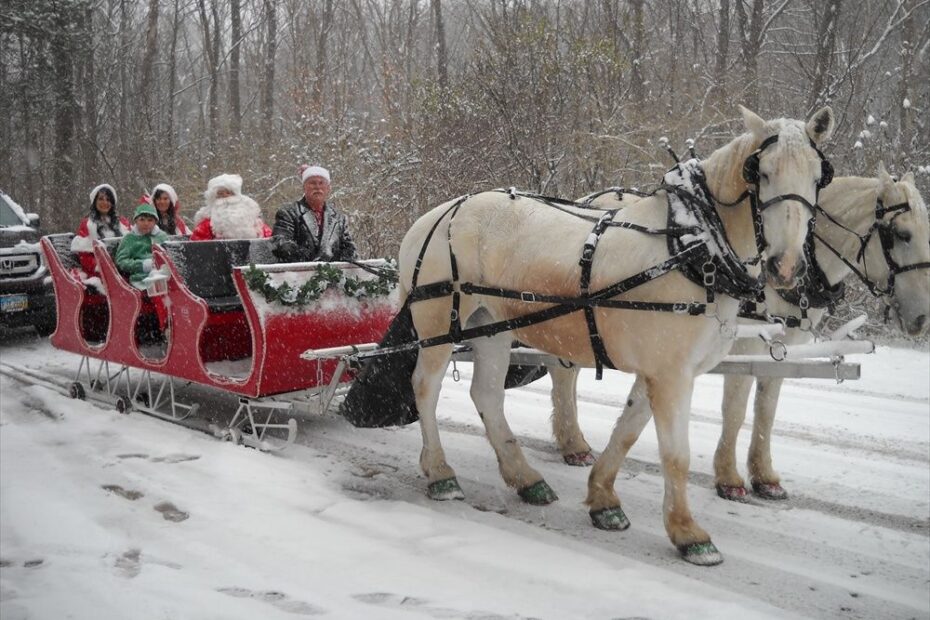 horse and sleigh christmas decor 20+ Christmas Horse And Sleigh Decorations The Urban Decor