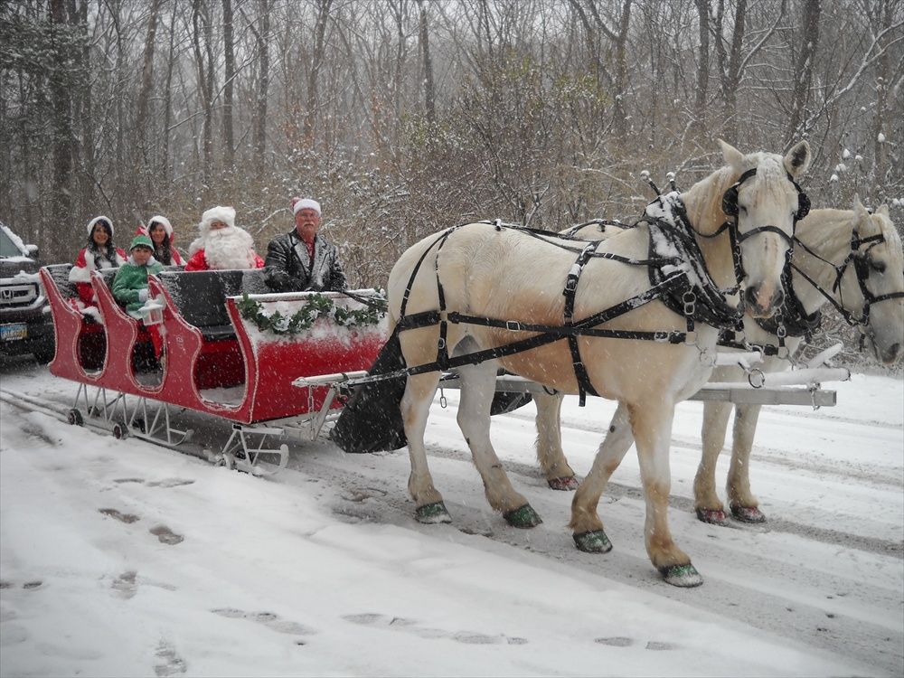 horse and sleigh christmas decor 20+ Christmas Horse And Sleigh Decorations The Urban Decor